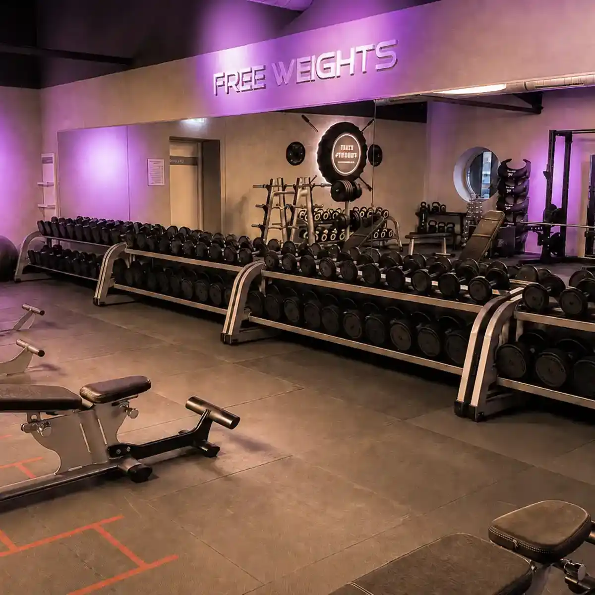 Freihantelbereich mit Squat Racks, Kurzhanteln und Kettlebells für Krafttraining und Muskelaufbau in Lauffen
